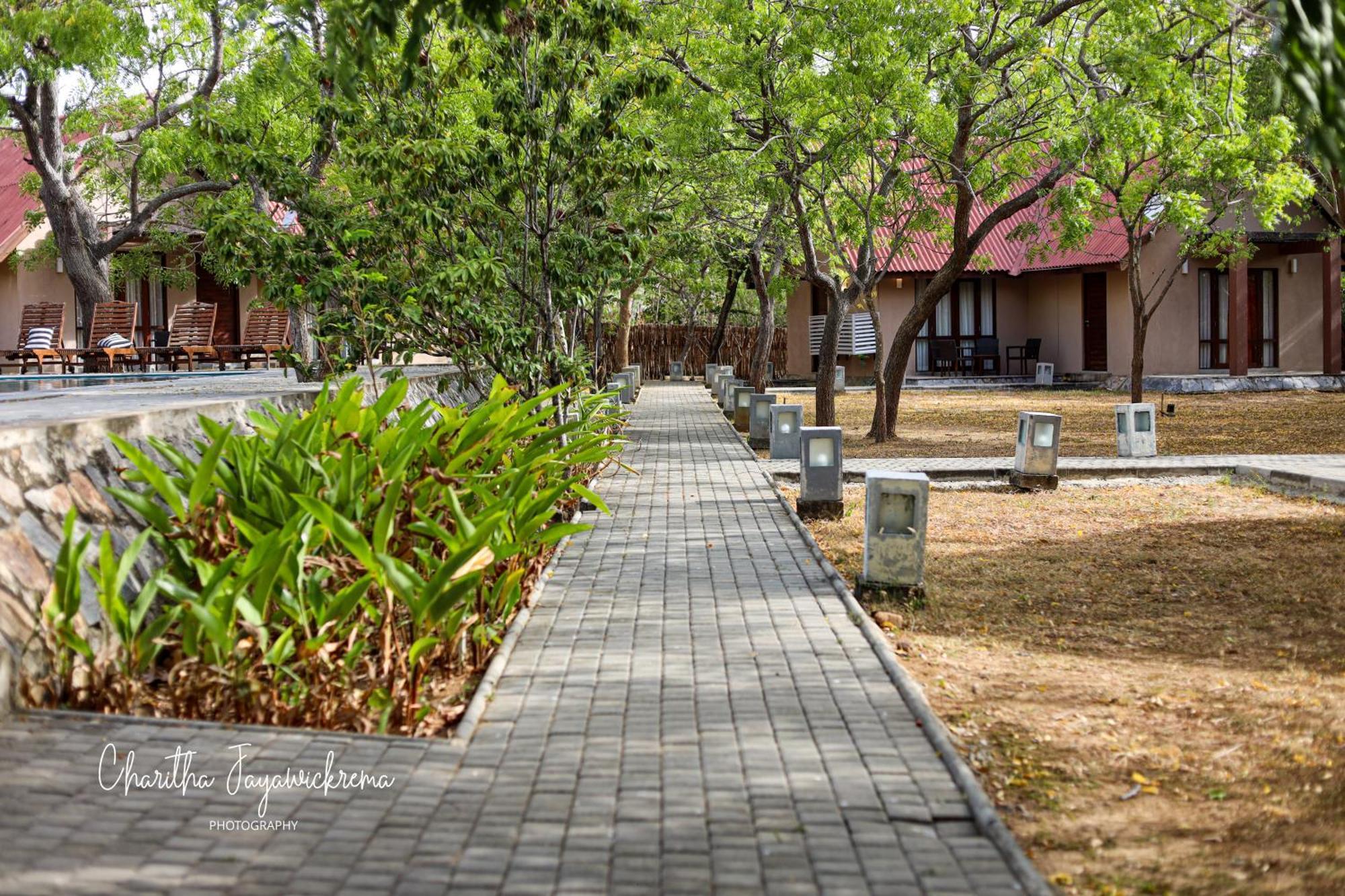Yala Chalets By Lalan Leisure Kirinda  Luaran gambar